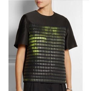 ALEXANDER WANG heat sensitive top citrus green rare runway color changing